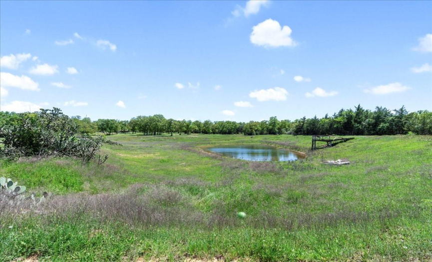 575 Redtop LN, Red Rock, Texas 78662, ,Farm,For Sale,Redtop,ACT3172211