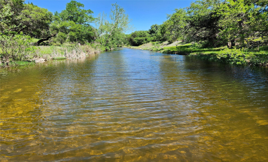 Lone Man Creek in Rancho Grande. April 2024