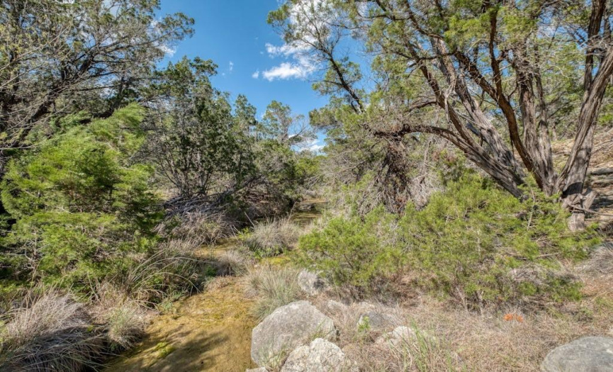 000 Cripple Creek Stage RD, Dripping Springs, Texas 78620, ,Farm,For Sale,Cripple Creek Stage,ACT1394906