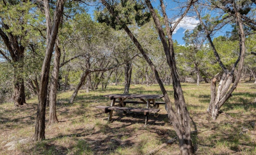 000 Cripple Creek Stage RD, Dripping Springs, Texas 78620, ,Farm,For Sale,Cripple Creek Stage,ACT1394906
