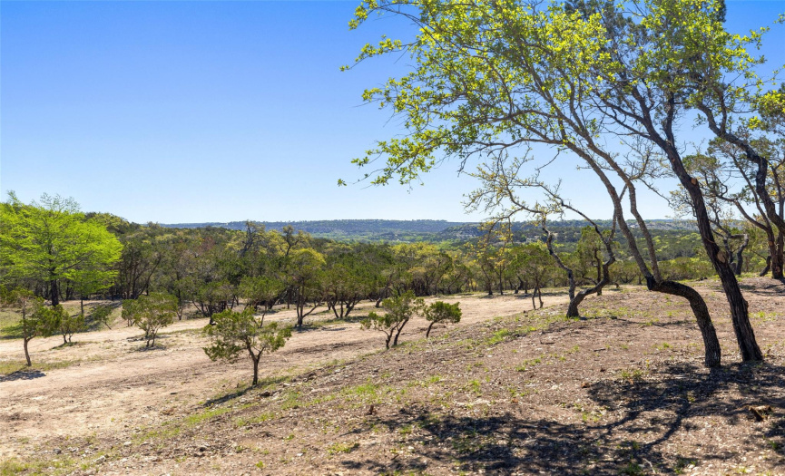 3310 Ranch Road 165 - Tract 11, Dripping Springs, Texas 78606, ,Farm,For Sale,Ranch Road 165 - Tract 11,ACT5066961
