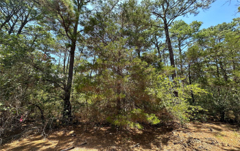 000 Majestic Pine DR, Bastrop, Texas 78602, ,Land,For Sale,Majestic Pine,ACT8385643