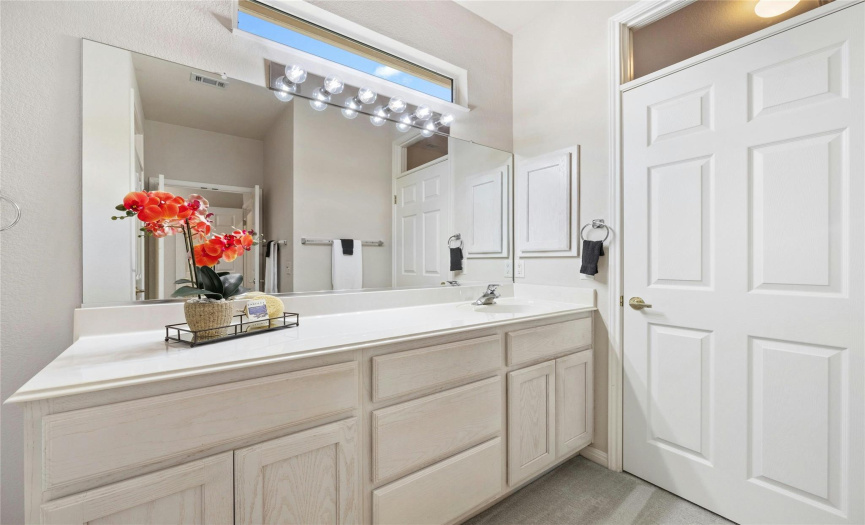 Ample counter space on main bath vanity.