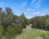1147 Taylor Ranch RD, Blanco, Texas 78606, ,Land,For Sale,Taylor Ranch,ACT5292739
