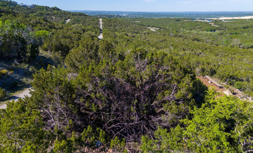 9204 Western TRL, Leander, Texas 78645, ,Land,For Sale,Western,ACT9695972