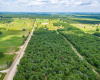 387 County Road 238A, Cameron, Texas 76520, ,Farm,For Sale,County Road 238A,ACT7029520