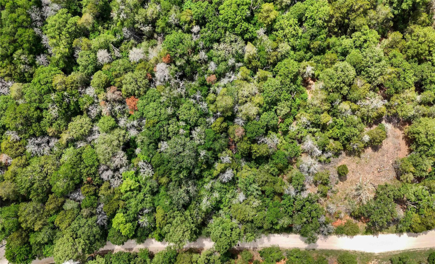 131 Helemano DR, Bastrop, Texas 78602, ,Land,For Sale,Helemano,ACT3237944