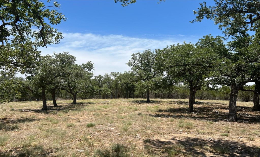 349 Lilly LN, Round Mountain, Texas 78663, ,Land,For Sale,Lilly,ACT6319589
