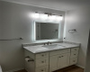 New quartz counter, new sink, new stainless faucets and hardware and lighting.  New LED backlit mirror with antifog feature.