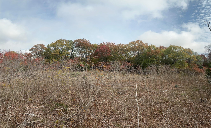 650 St Hwy 36, Gatesville, Texas 76528, ,Land,For Sale,St Hwy 36,ACT8704625