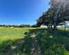 1900 County Rd 234, Georgetown, Texas 78633, ,Land,For Sale,County Rd 234,ACT7068156