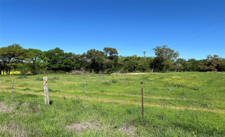 1900 County Rd 234, Georgetown, Texas 78633, ,Land,For Sale,County Rd 234,ACT7068156