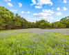 It doesn't get any more Texan than Bluebonnets! 32 Moonlight Ln. is waiting for your dream home!
