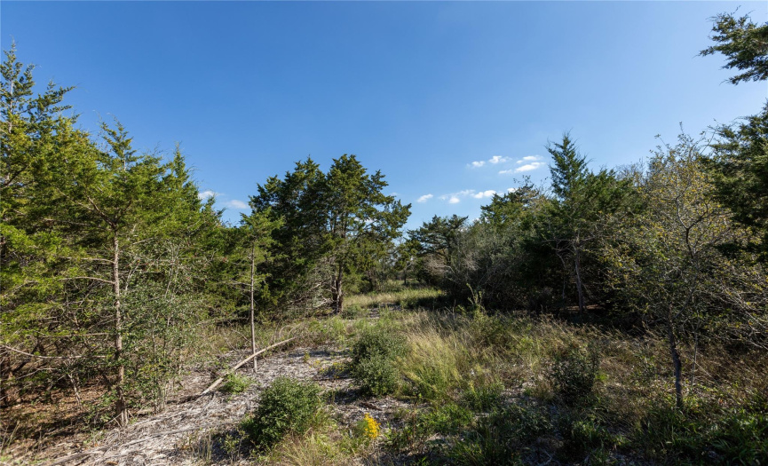 105 Crooked RD, Dale, Texas 78616, ,Land,For Sale,Crooked,ACT8898547