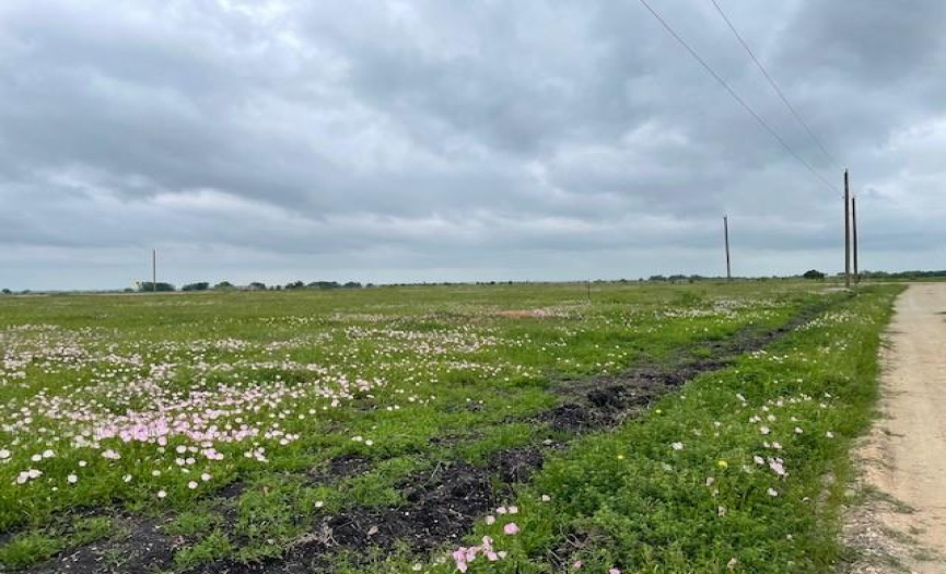 495 County Road 423 CT, Taylor, Texas 76574, ,Land,For Sale,County Road 423,ACT9385703