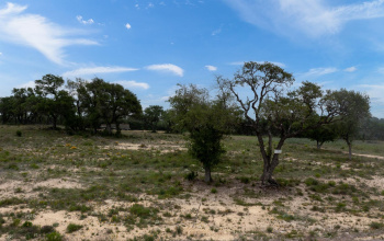 Lot 74 Paradise Parkway, Canyon Lake, Texas 78133 For Sale