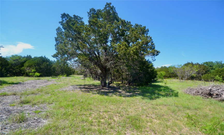 TBD (Lot 40) Private Road 42107, Evant, Texas 76525, ,Land,For Sale,Private Road 42107,ACT7365283