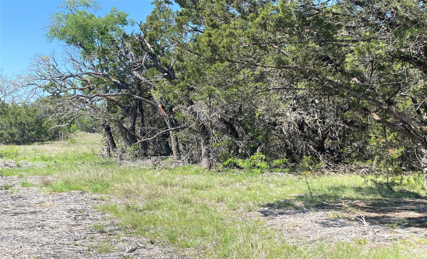 TBD (Lot 40) Private Road 42107, Evant, Texas 76525, ,Land,For Sale,Private Road 42107,ACT7365283