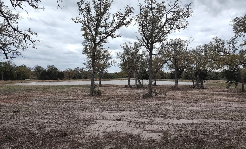 This secluded property features a large pond for fishing and recreation, directly in front of a great home site. The land has many larger Post and Live Oaks as well as natural native plants. The new pond has plenty of water for cattle or other livestock, as well as a great view of nature right out your front door.