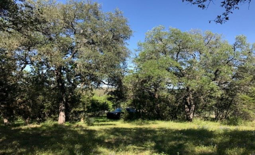 410 Lake View DR, Spicewood, Texas 78669, ,Land,For Sale,Lake View,ACT6804438