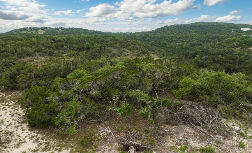 9606 Sisk LN, Dripping Springs, Texas 78620, ,Land,For Sale,Sisk,ACT2563477