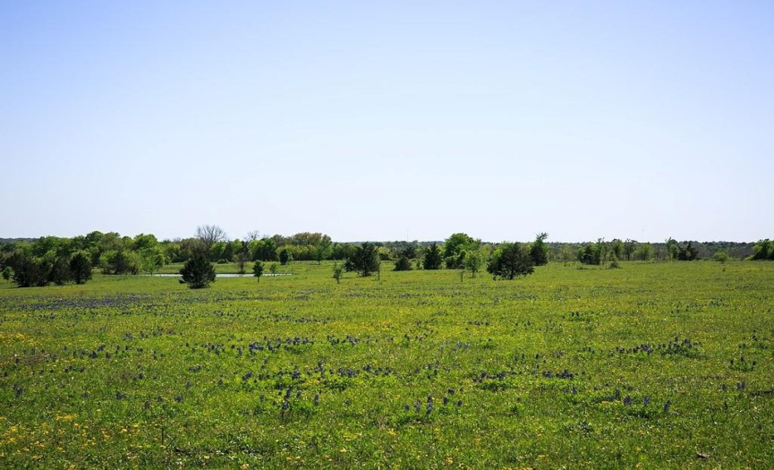 Tract 6 Caney Creek RD, Chappell Hill, Texas 77426, ,Land,For Sale,Caney Creek,ACT1775764