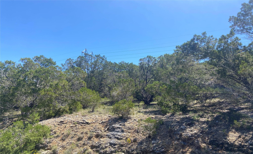8801 Timber TRL, Leander, Texas 78645, ,Land,For Sale,Timber,ACT9624649
