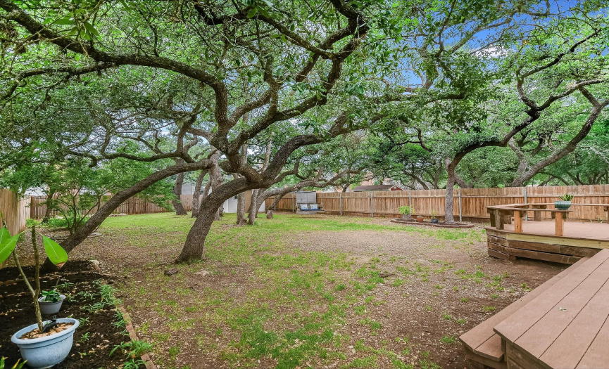Lovely shaped oak trees fill the yard. Shade and serenity!
