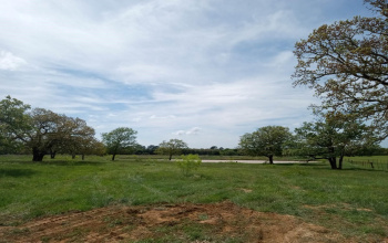 TBD Easley RD, Smithville, Texas 78957 For Sale
