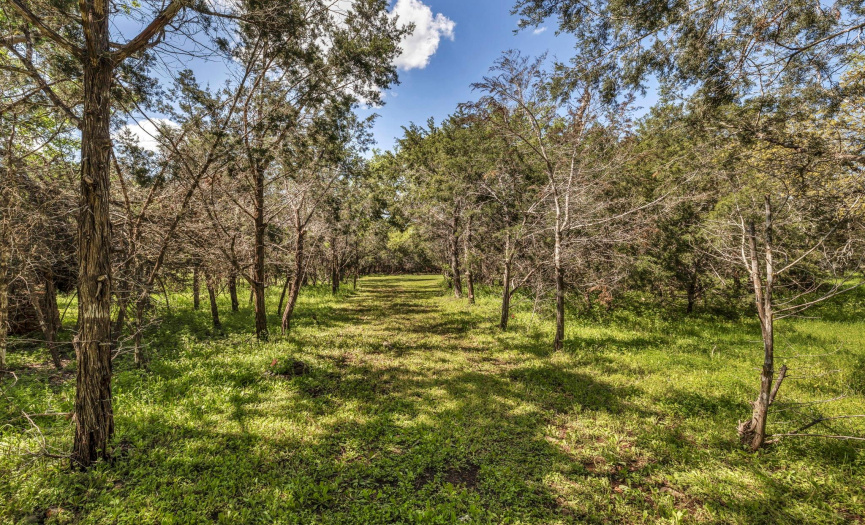 Enjoy all of your 4 acres with cleared pathways