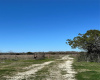 TBD County Road 226, Florence, Texas 76527, ,Land,For Sale,County Road 226,ACT5331150