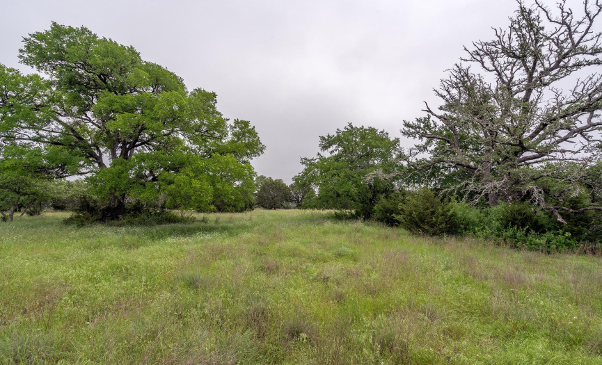 2835 Highway 183, Liberty Hill, Texas 78642, ,Land,For Sale,Highway 183,ACT5846485