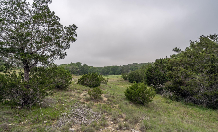 2835 Highway 183, Liberty Hill, Texas 78642, ,Land,For Sale,Highway 183,ACT5846485