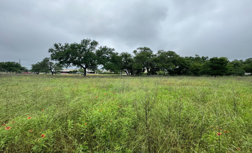00 US 290 Highway, Dripping Springs, Texas 78620, ,Commercial Sale,For Sale,US 290,ACT1032053