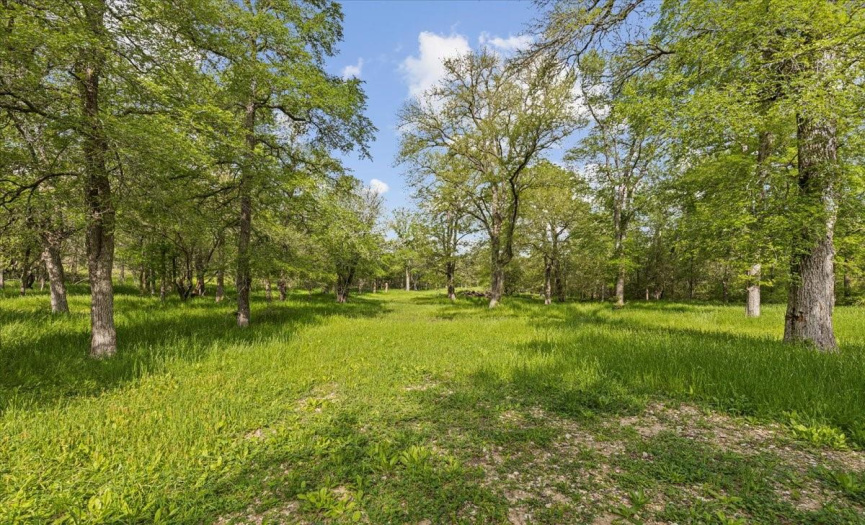 5304 HWY 87 W, Stockdale, Texas 78160, 2 Bedrooms Bedrooms, ,1 BathroomBathrooms,Farm,For Sale,HWY 87 W,ACT3020120