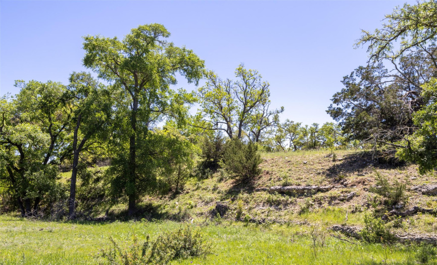 TBD Walker Ranch RD, Dripping Springs, Texas 78620, ,Farm,For Sale,Walker Ranch,ACT8040682