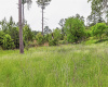 210 Long TRL, Smithville, Texas 78957, ,Land,For Sale,Long,ACT4352142