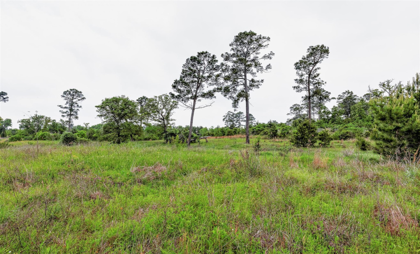 210 Long TRL, Smithville, Texas 78957, ,Land,For Sale,Long,ACT4352142