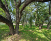 27132 Founders PL, Spicewood, Texas 78669, ,Land,For Sale,Founders,ACT3116182