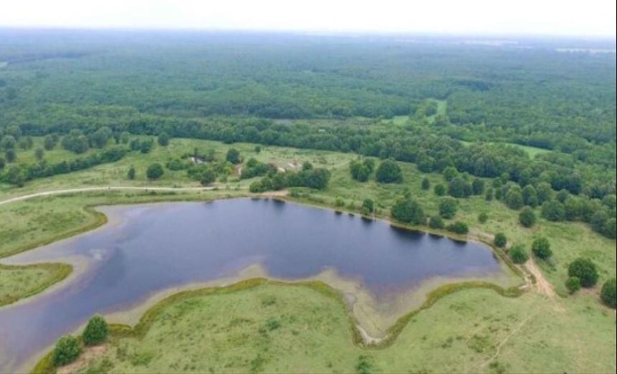 Lot 123 Three Lakes Ranch, Centerville, Texas 75833, ,Land,For Sale,Three Lakes Ranch,ACT8055392