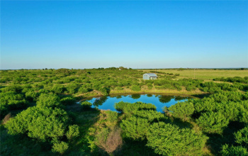 3647 County Road 240, Harwood, Texas 78632, ,Farm,For Sale,County Road 240,ACT1741098