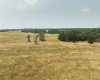 475 county Line RD, Dale, Texas 78616, ,Land,For Sale,county Line,ACT9058025