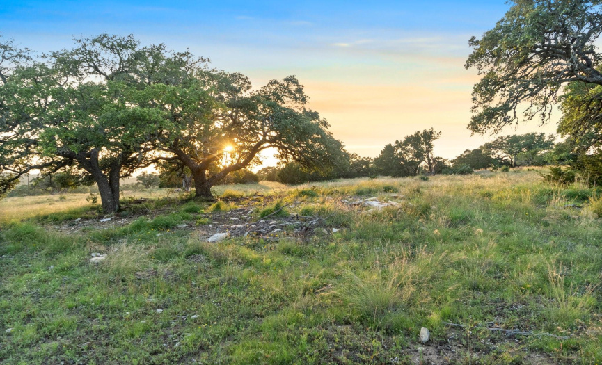 Majestic Oaks, Hill country fauna can be found throughout the property.