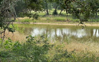 VIEW OF PARTIAL POND