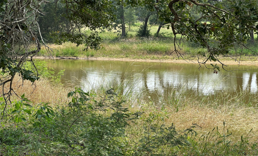 VIEW OF PARTIAL POND