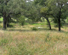 147 Arbor Hill WAY, Cedar Creek, Texas 78612, ,Land,For Sale,Arbor Hill,ACT7984532
