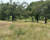 147 Arbor Hill WAY, Cedar Creek, Texas 78612, ,Land,For Sale,Arbor Hill,ACT7984532
