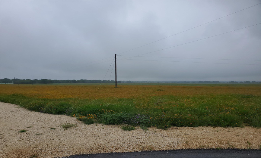 1350 Cr-222, Florence, Texas 76527, ,Land,For Sale,Cr-222,ACT8117956