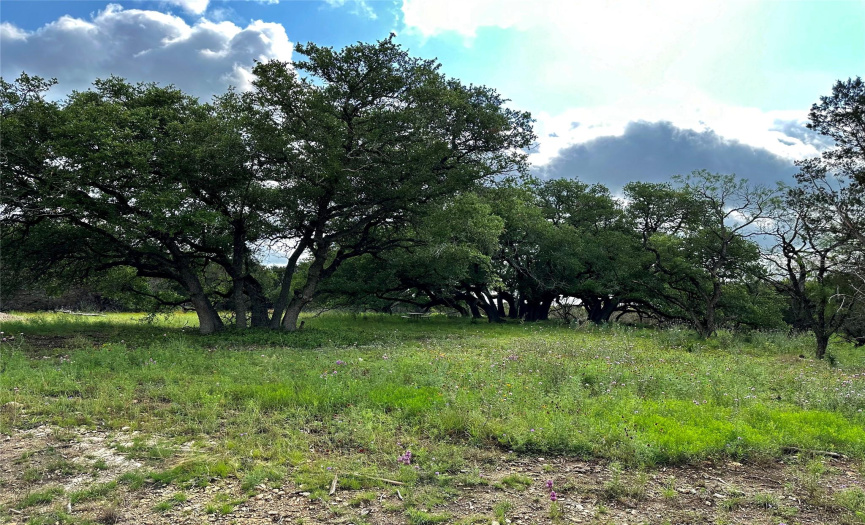 285 Donnie DR, Lampasas, Texas 76550, ,Land,For Sale,Donnie,ACT8999437