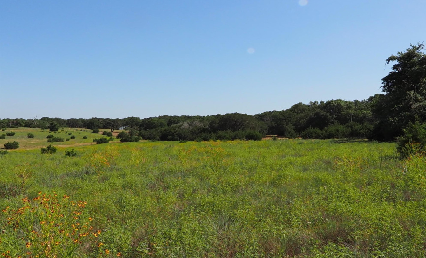 2901 County Road 228 RD, Florence, Texas 76527, ,Farm,For Sale,County Road 228,ACT8136921